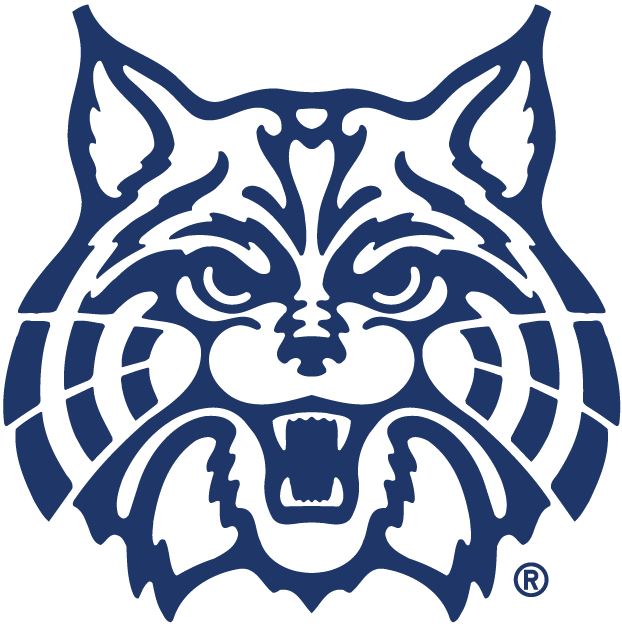Arizona Wildcats 1990-Pres Alternate Logo iron on transfers for fabric